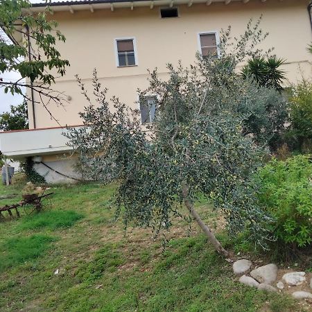 Casa Il Canto Tortoreto Exteriör bild