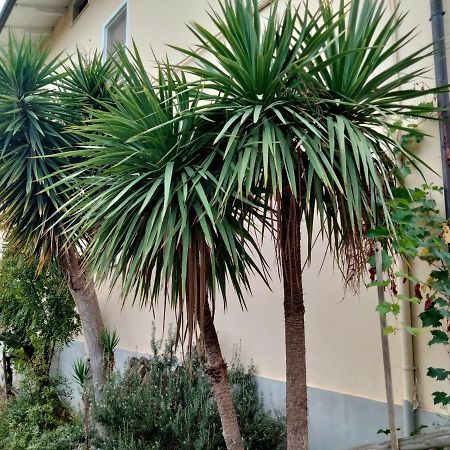 Casa Il Canto Tortoreto Exteriör bild